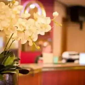 Меридиан - 32