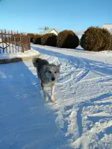 Лука - 5