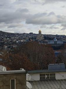 Цитадин Тбилиси Площадь Свободы - 6