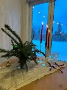 Родионова дача - 33