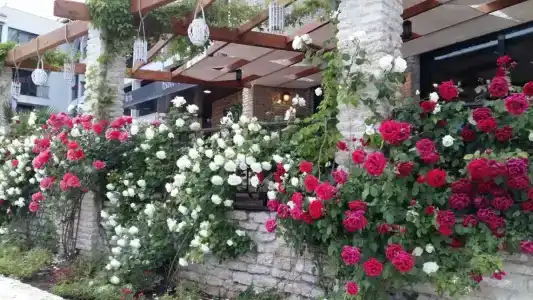 Regina Maria Spa Design - 5