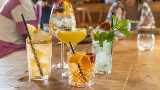 Wren Urban Nest - 41