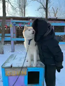 Озеро Снежное - 4