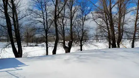 Самовар - 23