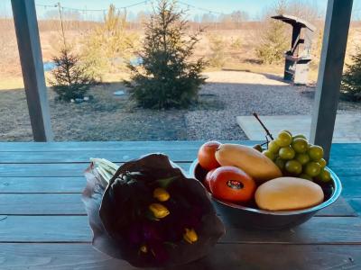 Дом Аиста - 54