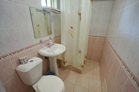 Пальмира - 68