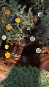 Магия леса - 21