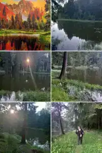 Кристалл - 47