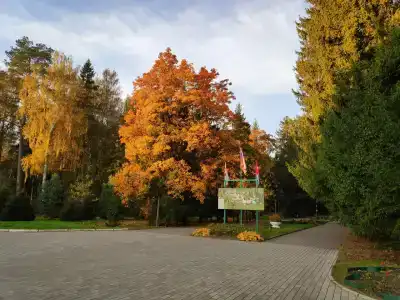 Санаторий имени Воровского - 9