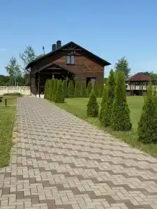 Камыши - 24
