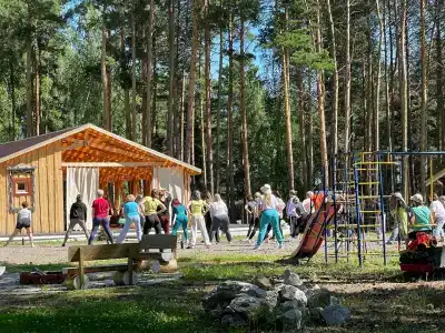 Звезда - 26