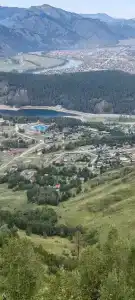 Крассула - 1