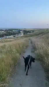 Место Встречи - 68