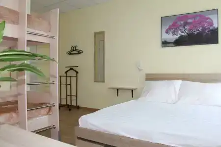 Кают-компания - 52