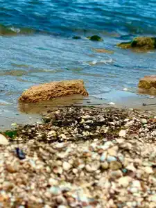 Manor Beach Kazantip - 25