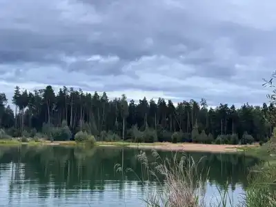 Лесная Резиденция - 27
