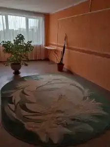 Припять - 31