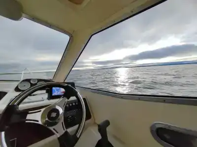 Compass Sosnovaya - 2