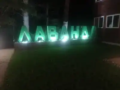 Лаванда - 16