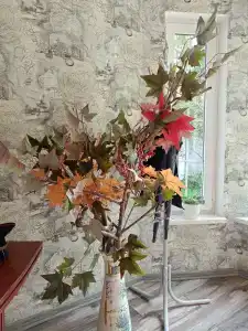 Королевская звезда - 7