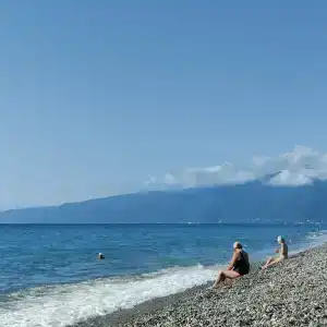 Платан-Paradise - 3