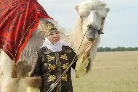 у Гульзары - 8