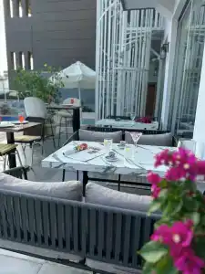 Mogons Exclusive - 48