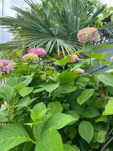 на Садовой - 5