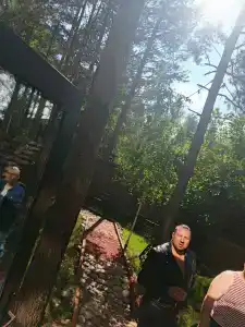 Магия леса - 42