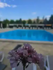 Президент - 17