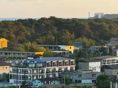 Дмитрий - 15