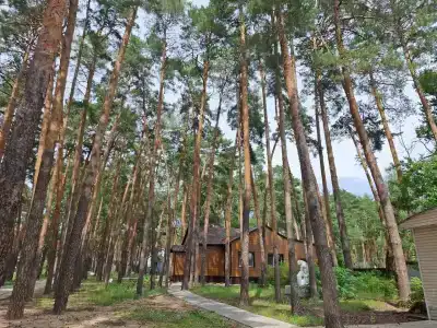 АО Тамбовкурорт - 26