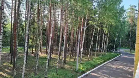 Колос - 34