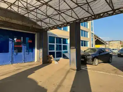 Пантера - 17