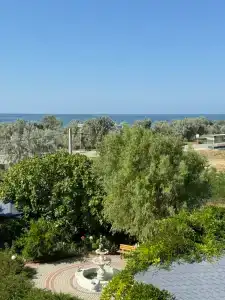 Альбатрос - 40