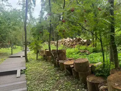 Лада Holiday - 91