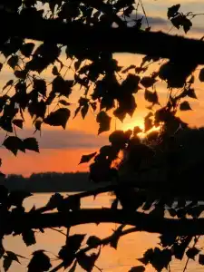 Лада Holiday - 67