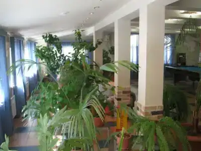 21 Век - 8