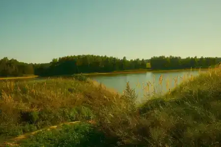 Птички - 32