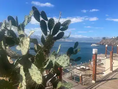 La Boutique & Suites - 23