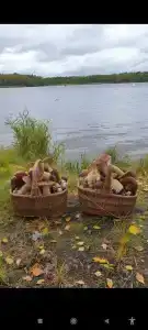 Рыбацкий Двор - 7