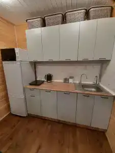 Астра - 9