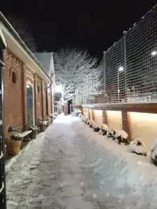 Золотые пески - 14