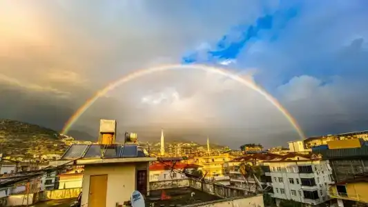 Cleopatra King Apart - 3