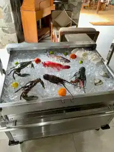 Cinnamon Bentota Beach - 90