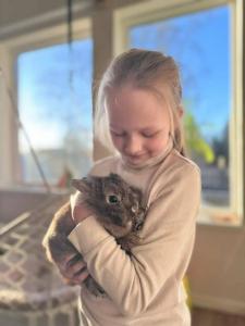 Семейная мини-ферма Фазенда - 38