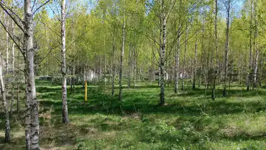 Дубрава - 47
