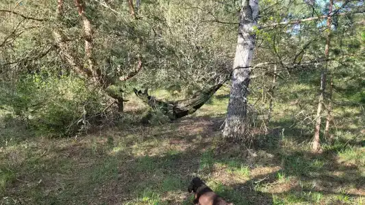 Зеленая Тропа Деревня - 11