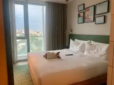 Hilton Garden Inn Tbilisi Riverview - 35