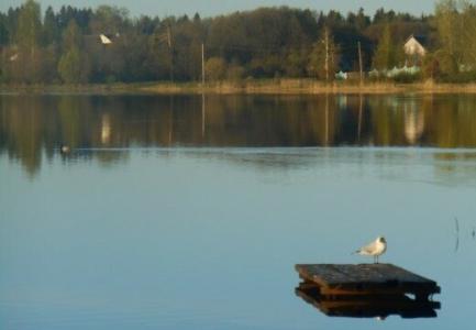 CalmPlaceHouse - 2